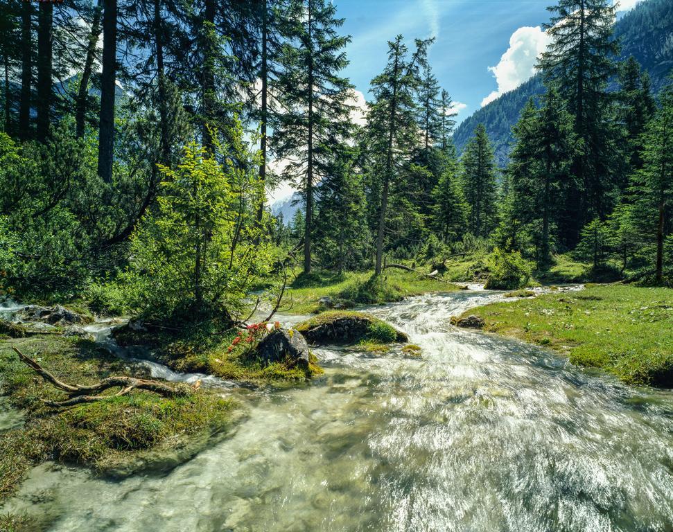 Hotel Laerchenhof Natur Seefeld in Tirol Luaran gambar