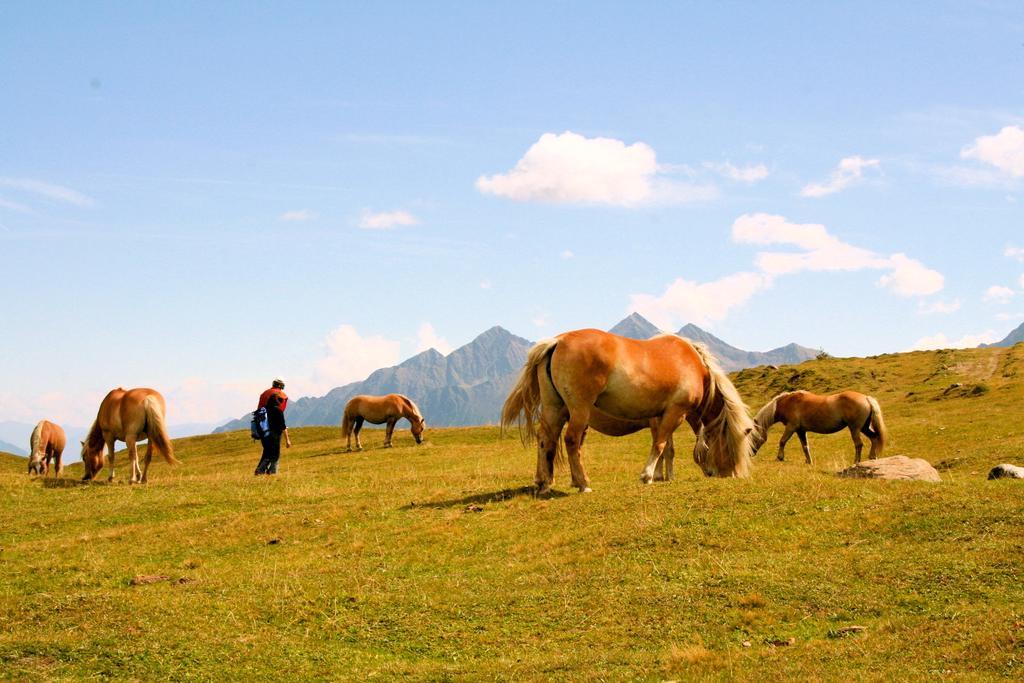 Hotel Laerchenhof Natur Seefeld in Tirol Luaran gambar