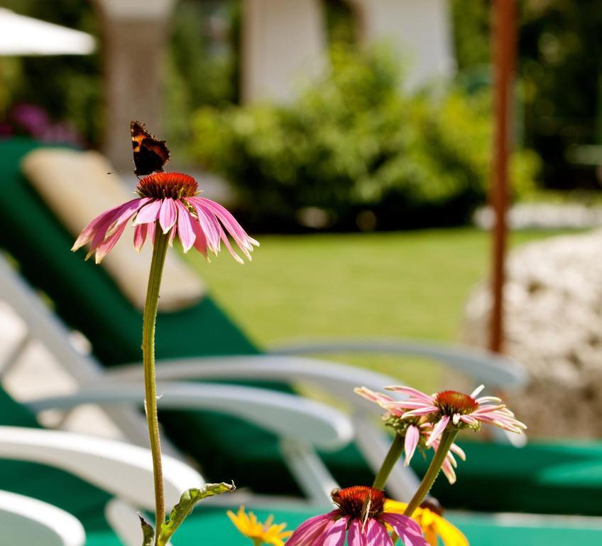 Hotel Laerchenhof Natur Seefeld in Tirol Bilik gambar